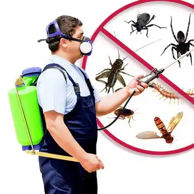 pest control Broadway
